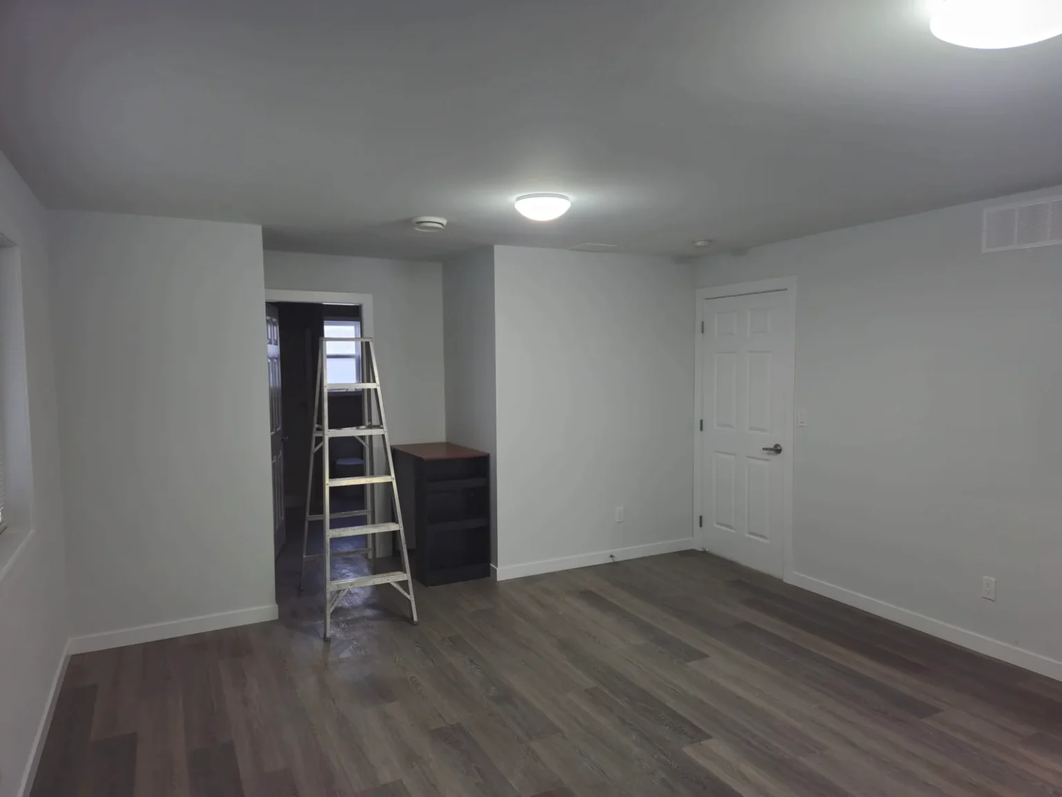 Foothills Basement Reno1