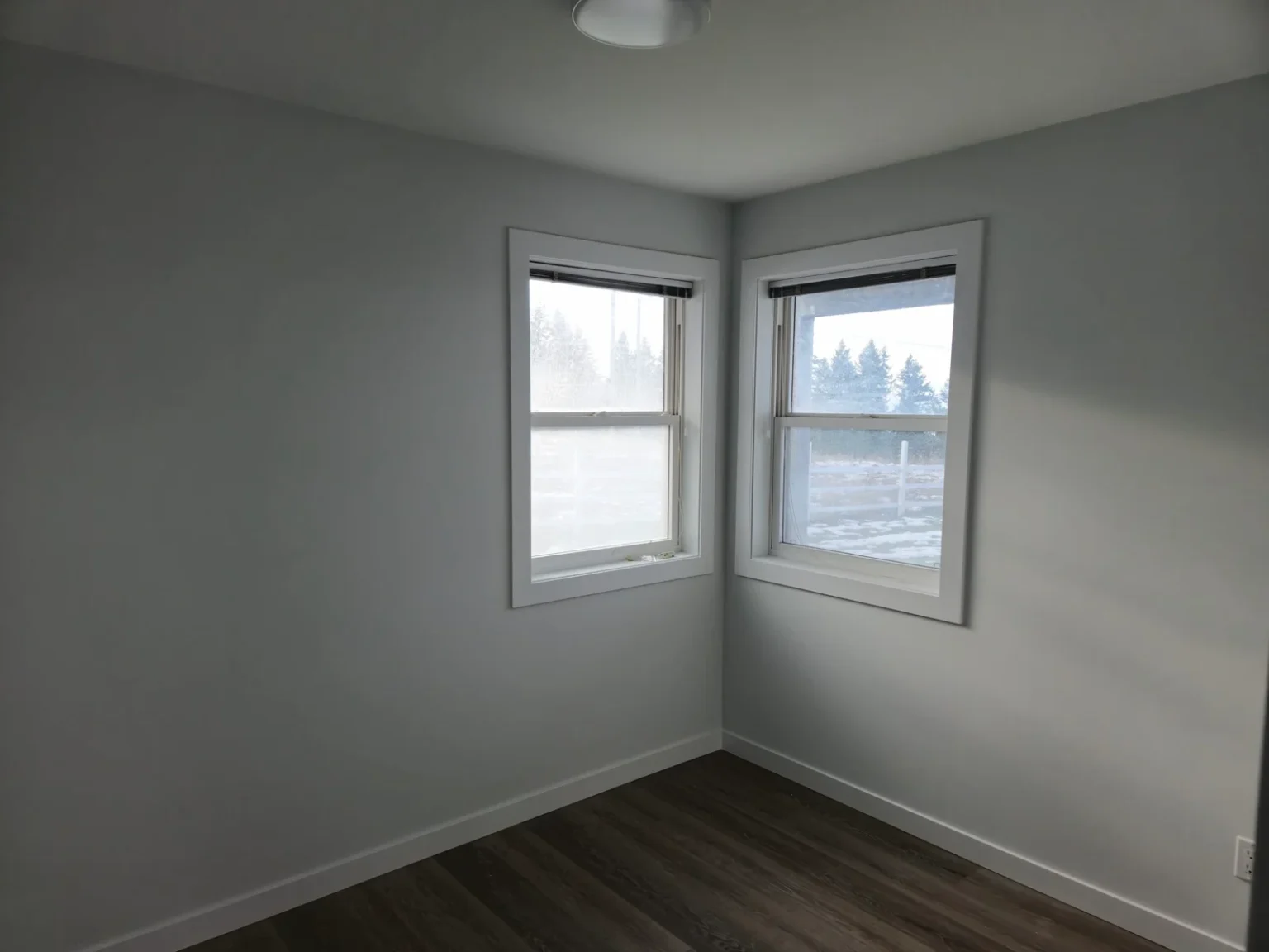 Foothills Basement Reno4